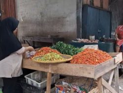 Harga Cabe Melejit Masyarakat Sintang Menjerit di Bulan Ramadhan 1446 H