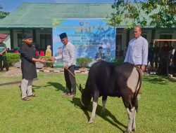 Kodim 1205/Sintang Kurban 3 Ekor Sapi di Momen Idul Adha 1446 H, Dandim: Intinya Keikhlasan Hati