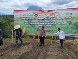 Polres dan Pemkab Sintang Tanam Jagung Serentak untuk Perkuat Ketahanan Pangan