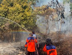 Diduga Dipicu Puntung Rokok, Karhutla Hanguskan 15,5 Hektare Lahan