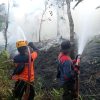 Karhutla Sintang Capai 25 Hektare, BPBD Ungkap Kendala Sumber Air di Sejumlah Titik
