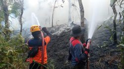 Karhutla Sintang Capai 25 Hektare, BPBD Ungkap Kendala Sumber Air di Sejumlah Titik