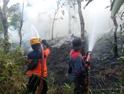 Karhutla Sintang Capai 25 Hektare, BPBD Ungkap Kendala Sumber Air di Sejumlah Titik
