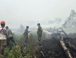 Tim Gabungan Padamkan Titik Api di Perbatasan Sintang-Sekadau