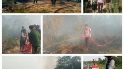 Karhutla Meluas, Rumah Warga di Balai Agung Ludes Terbakar