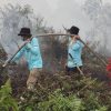 Karhutla Kedabang Membara, Relawan Anti Api dan Asap Kalbar Turun Tangan