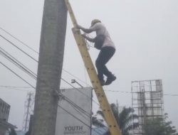 Demi Keselamatan Pengguna Jalan, Dishub Sintang Respons Cepat Pohon Palem Condong ke Jalan